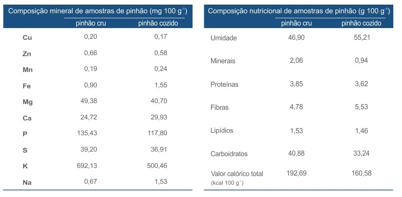 O pinhão é composto por vários minerais, como cobre, zinco, manganês, ferro, magnésio, cálcio, fósforo, enxofre e sódio. Porém, merece destaque no fornecimento de potássio, mineral que ajuda a controlar a pressão arterial.